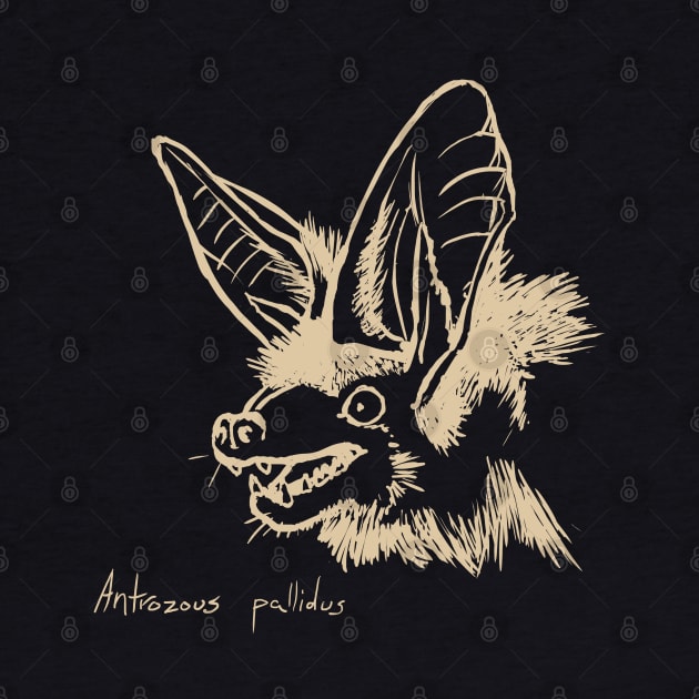 Pallid bat by Meganopteryx